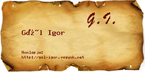 Gál Igor névjegykártya